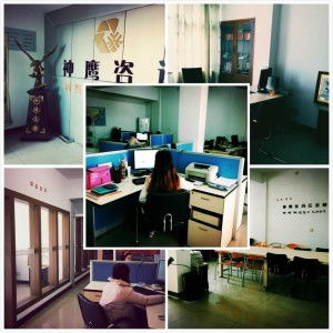 台州神鹰信息咨询服务 权威解读与专业支持